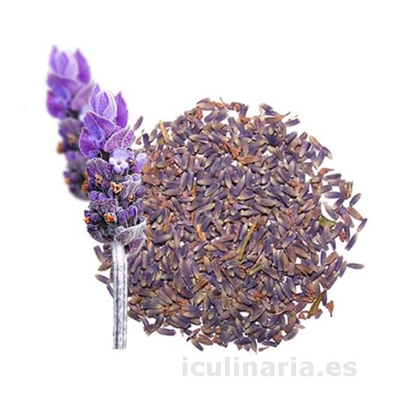 flor de lavanda | Innova Culinaria